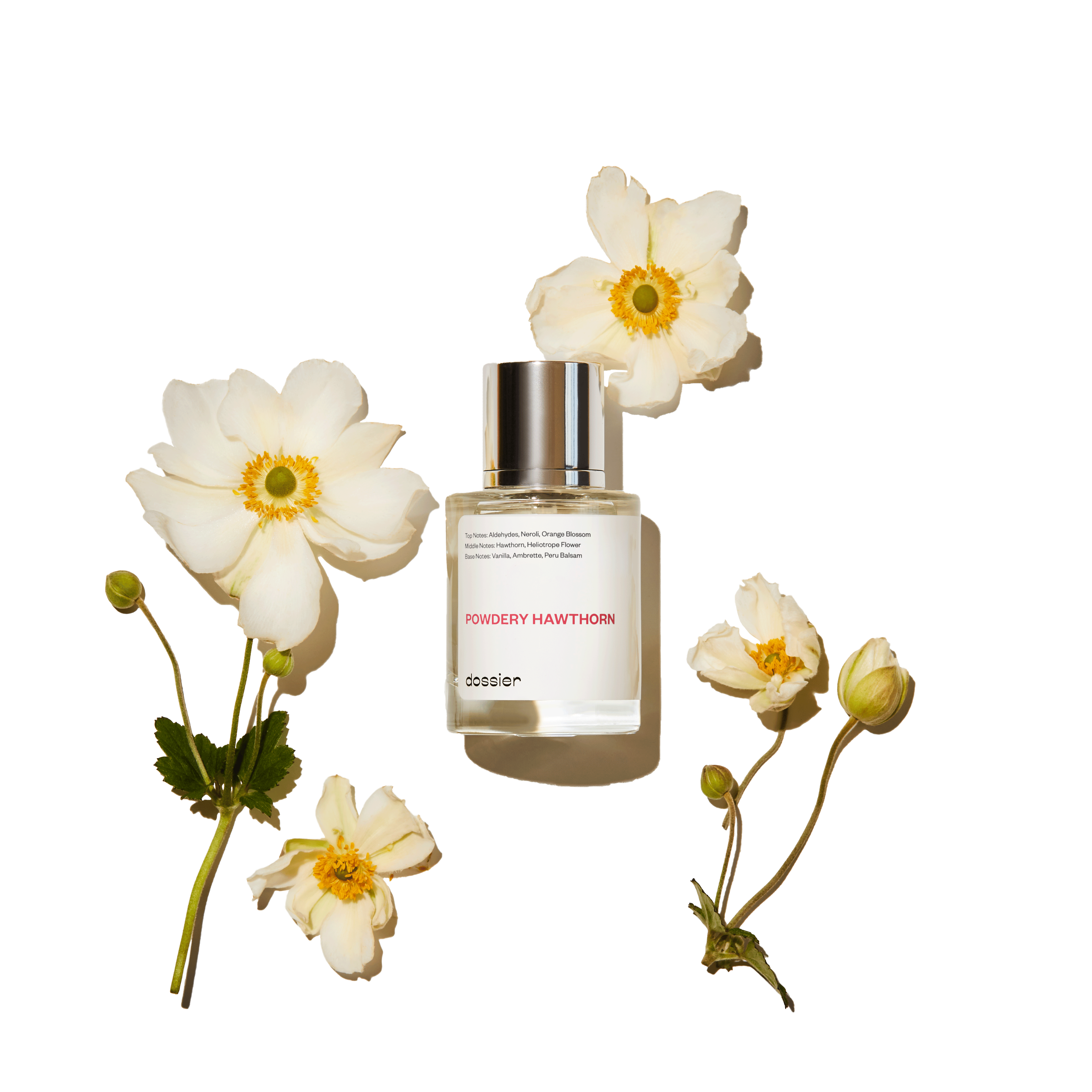 Powdery Hawthorn